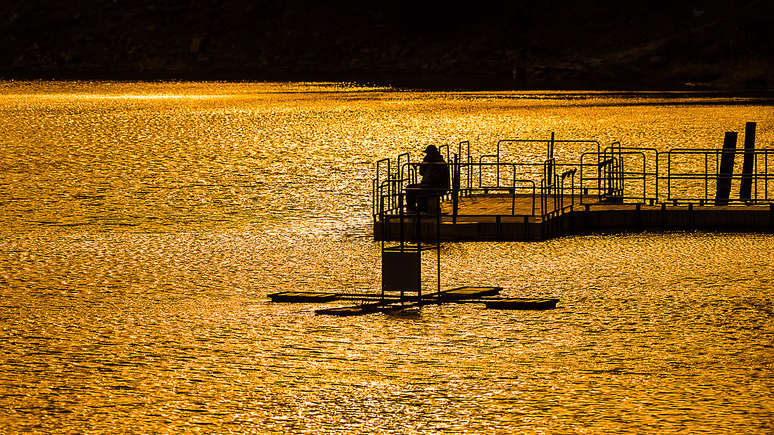 Seirer_170306_3319.jpg