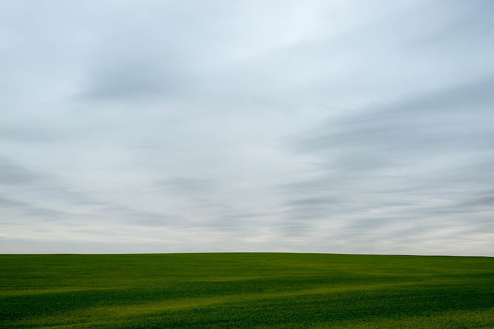 Seirer_170322_3632.jpg