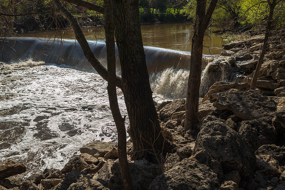 Seirer_170403_3765.jpg