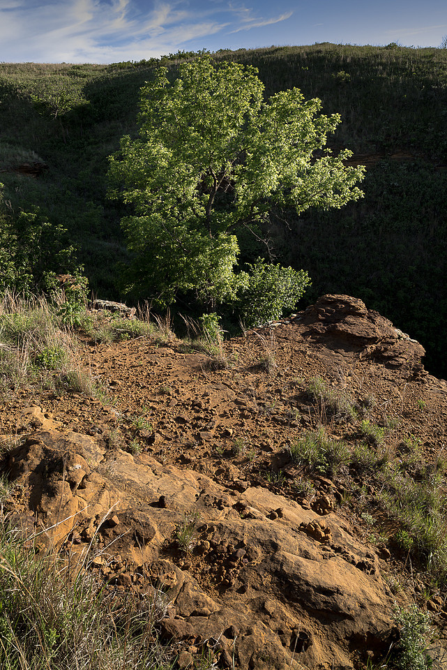Seirer_170522_4164.jpg
