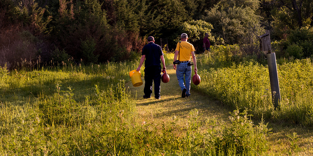 Milkweed Patrol