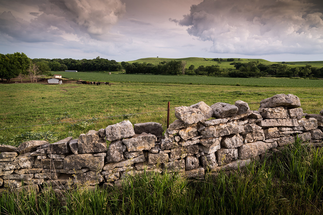 Seirer_170603_4629.jpg