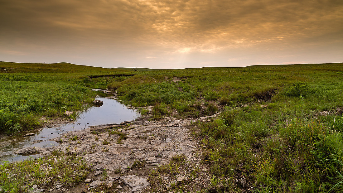Seirer_170807_6531.jpg