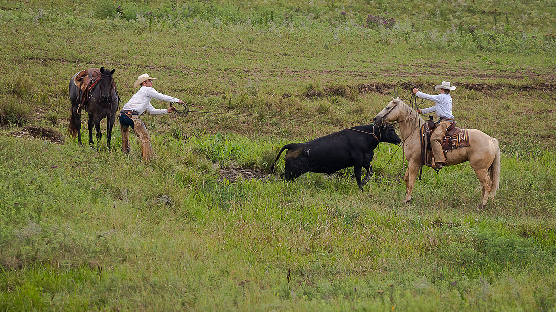 Seirer_170807_7155.jpg