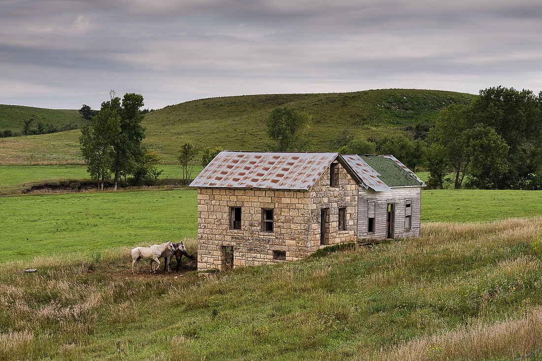 Seirer_170826_1529.jpg