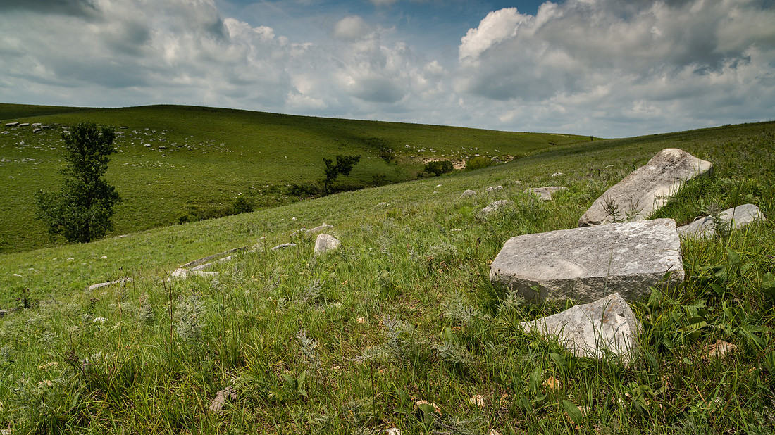 Seirer_170810_6596.jpg