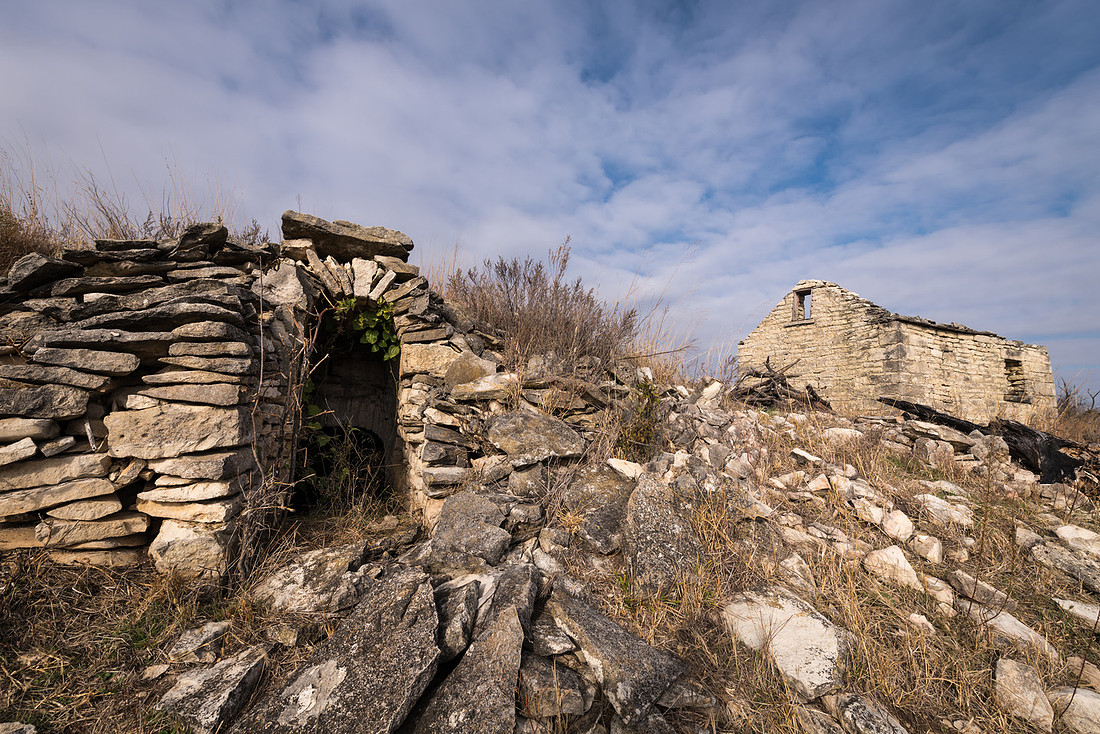 Seirer_171105_0163.jpg