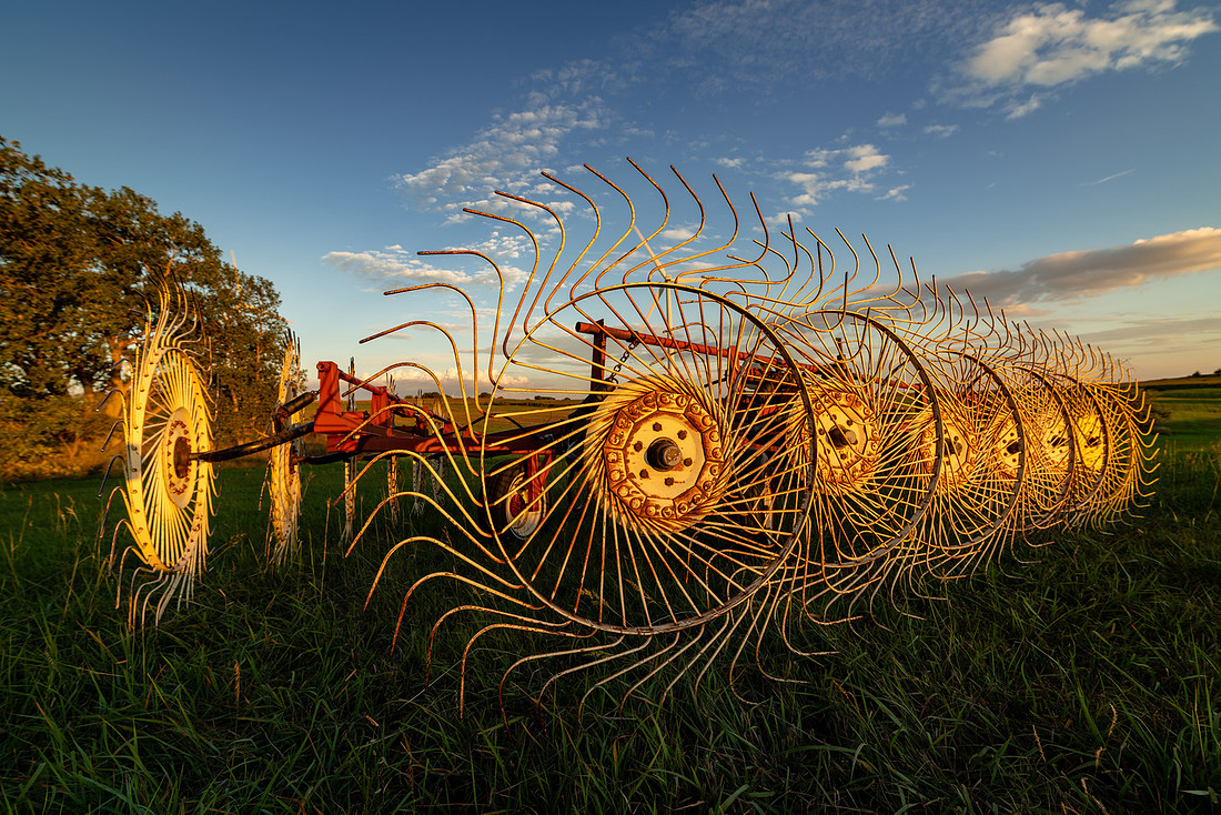 Seirer_180915_8503116.jpg
