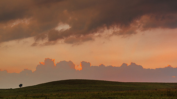 Seirer_150828_1905.jpg