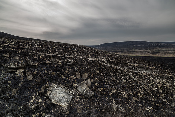 Seirer_170407_3910.jpg