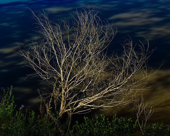Seirer_210603_8529537.jpg
